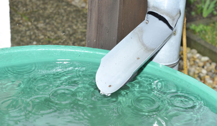 Récupérateur d'eau de pluie droit